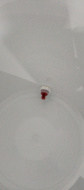 Отзыв: Насадка-дрожжеуловитель на пластиковый кран, — Хороший